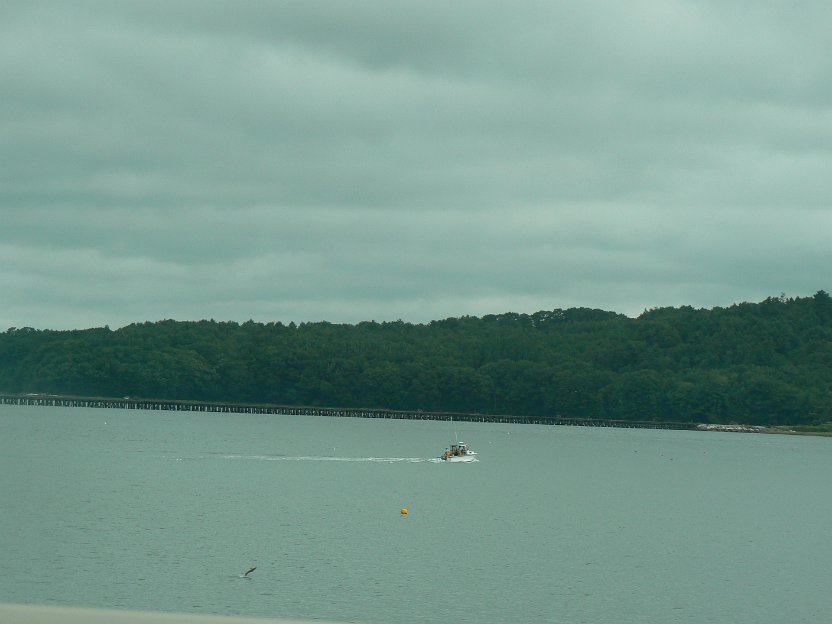 186-see fish jumping.jpg